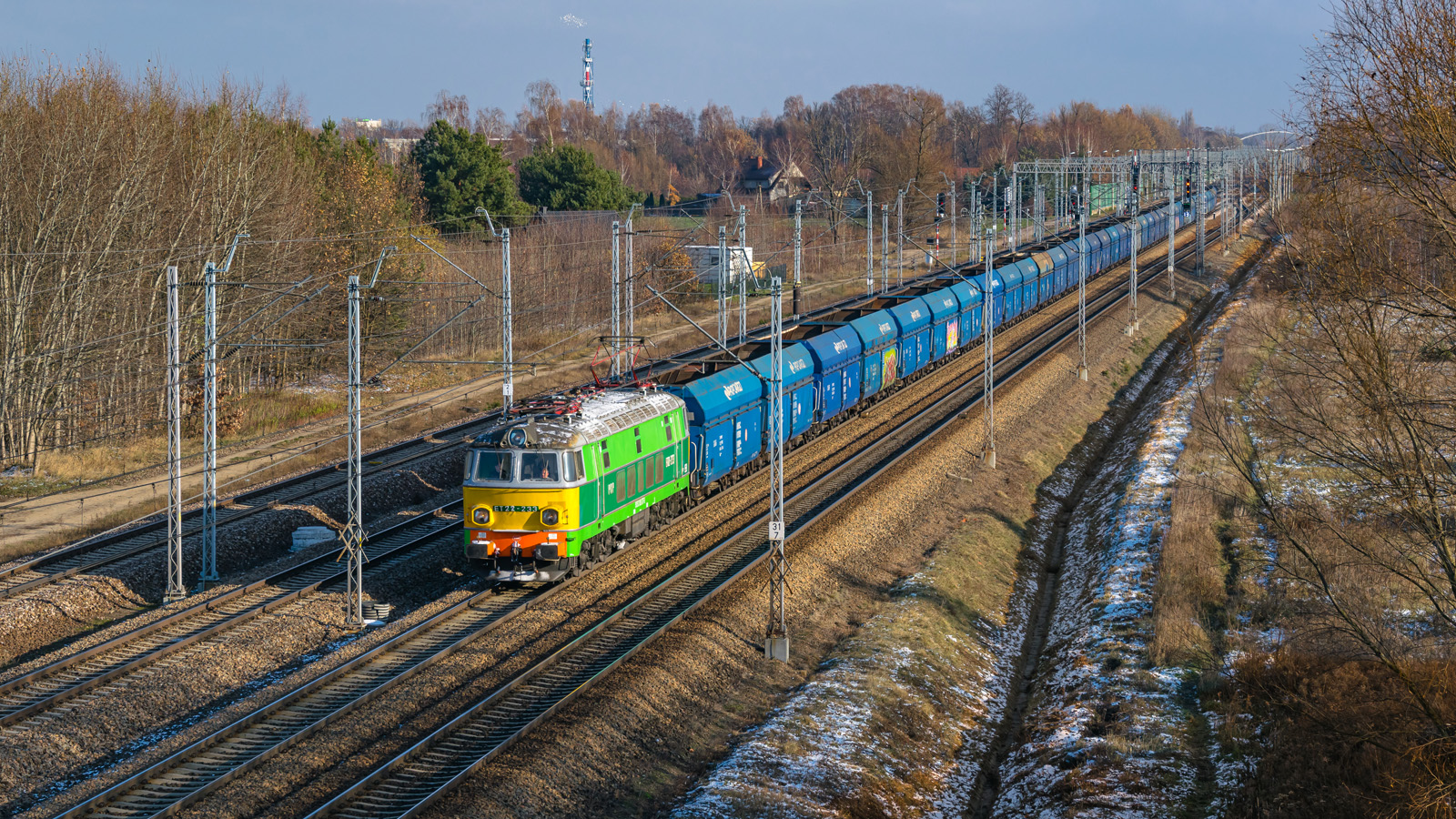 Żółte czoło pod Grodziskiem Mazowieckim