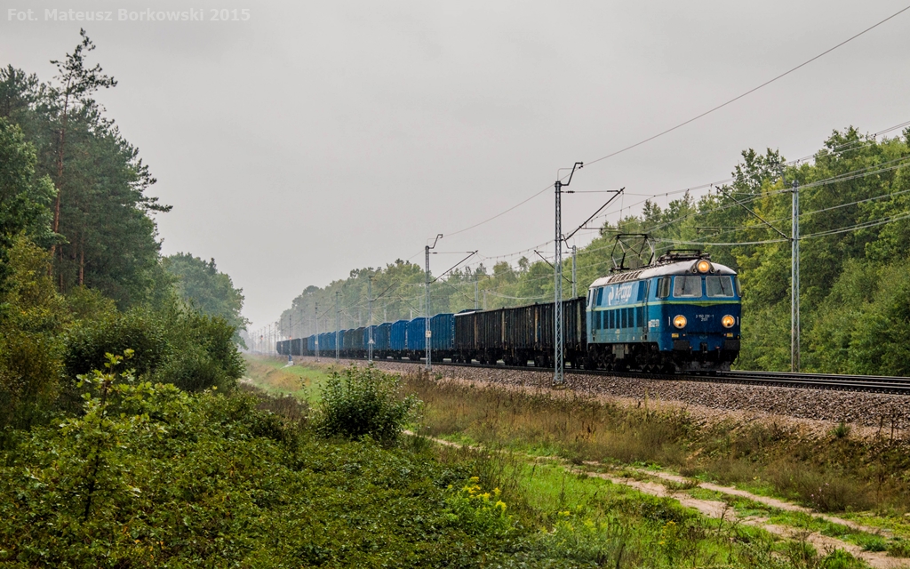 Byk wśród "amazońskiej puszczy"