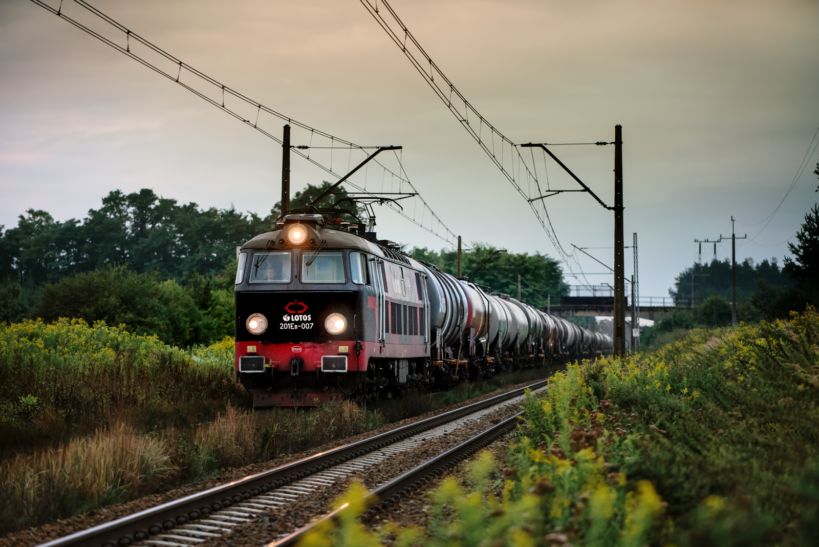 Marokańczyk 201Eo-007