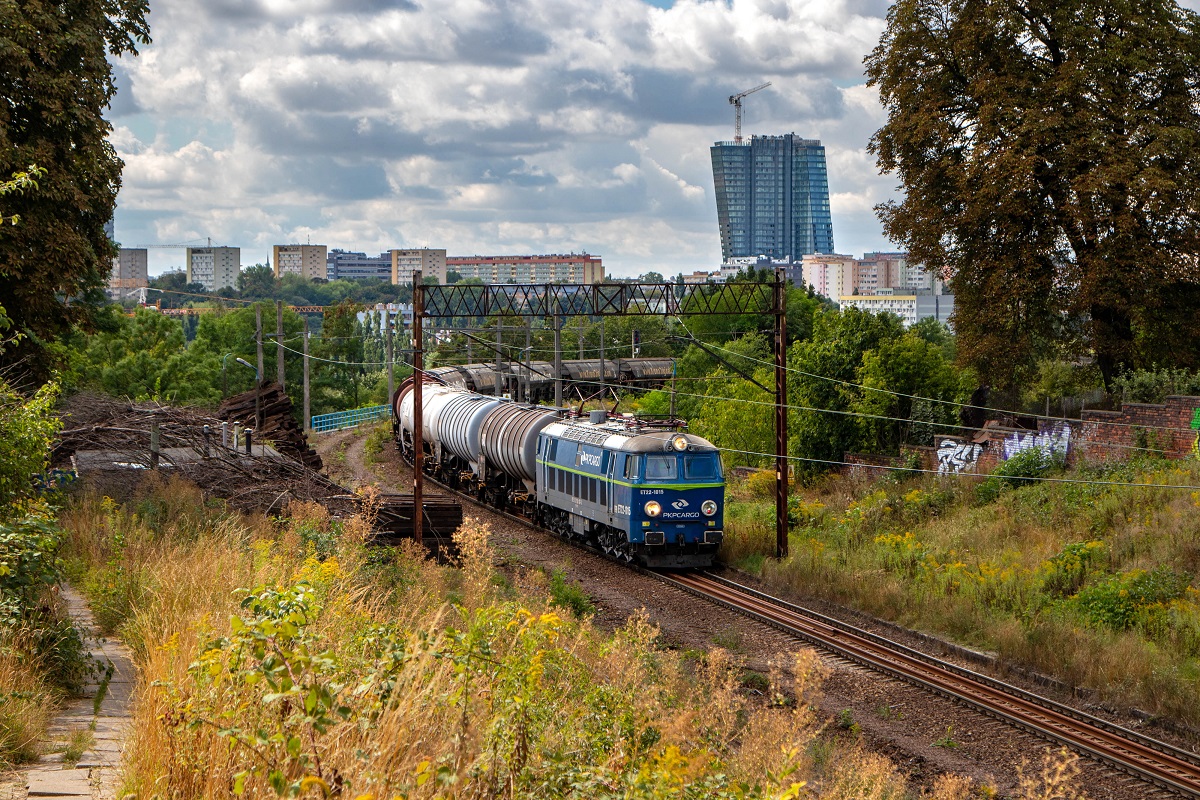 W miejskiej dżungli