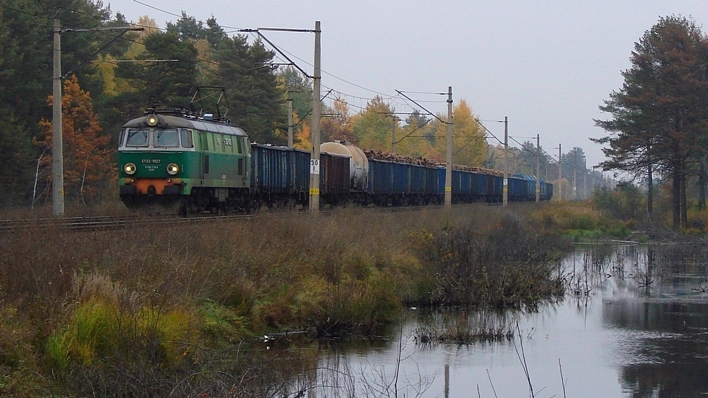 Byk na przedmodernie