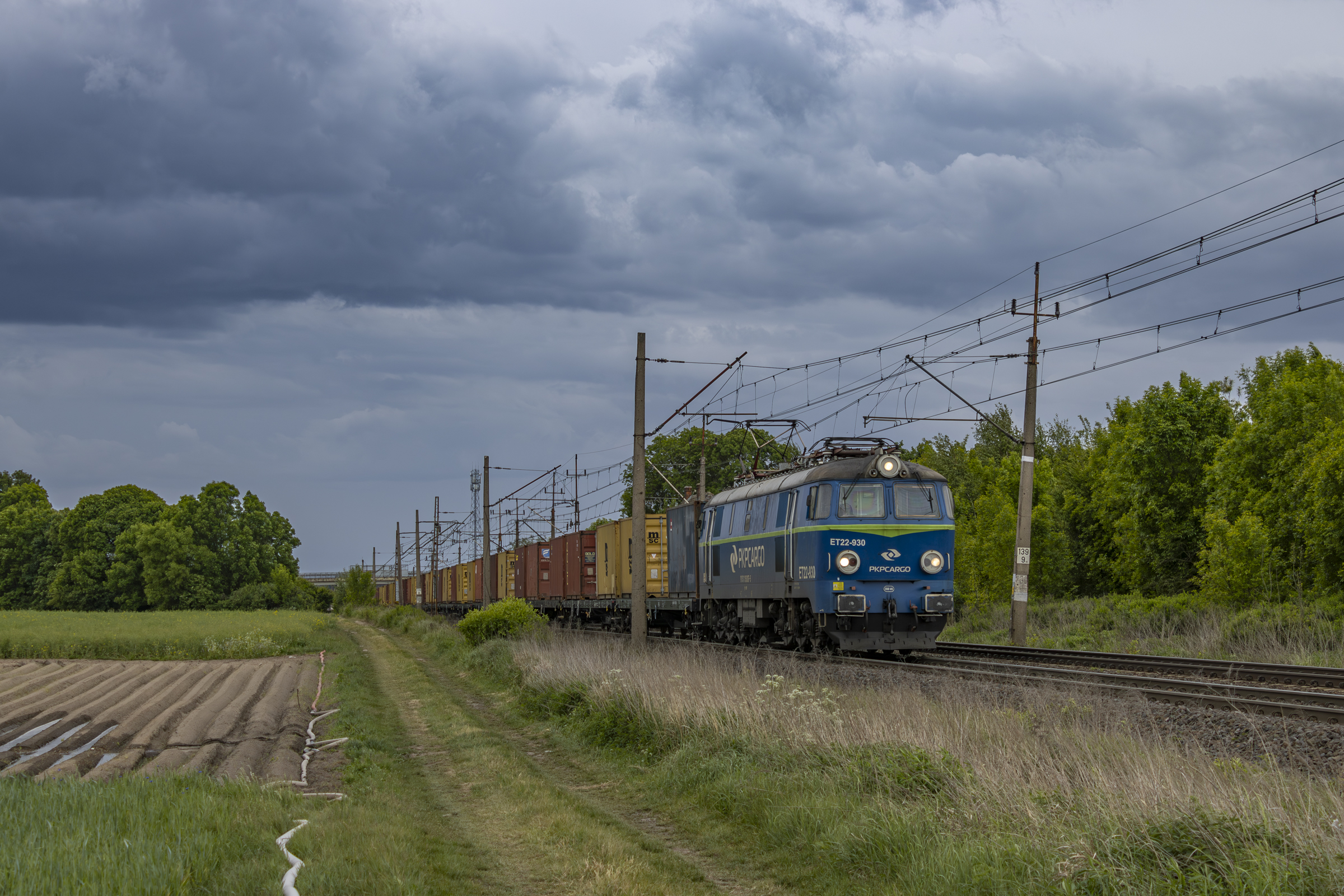 Kontener do Gdańska