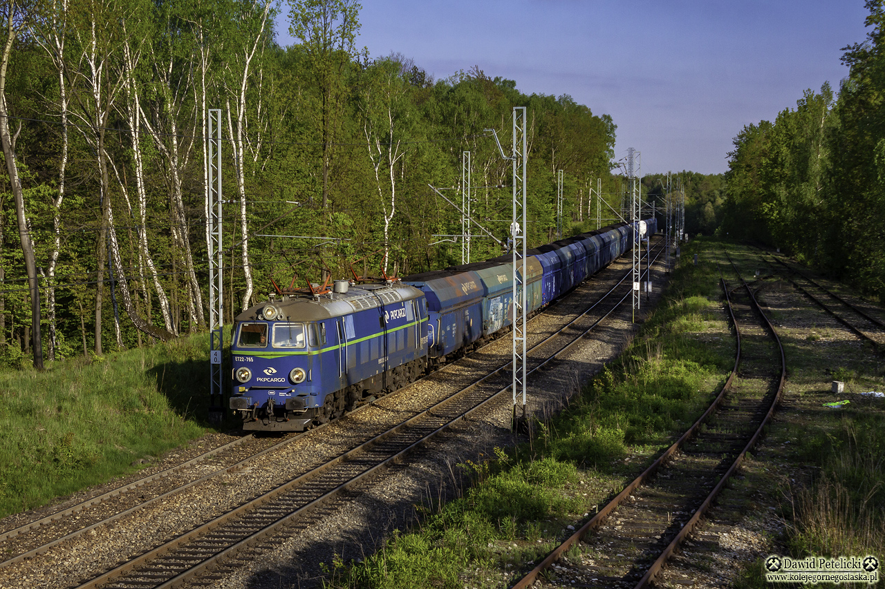 Panewnickie zapadlisko