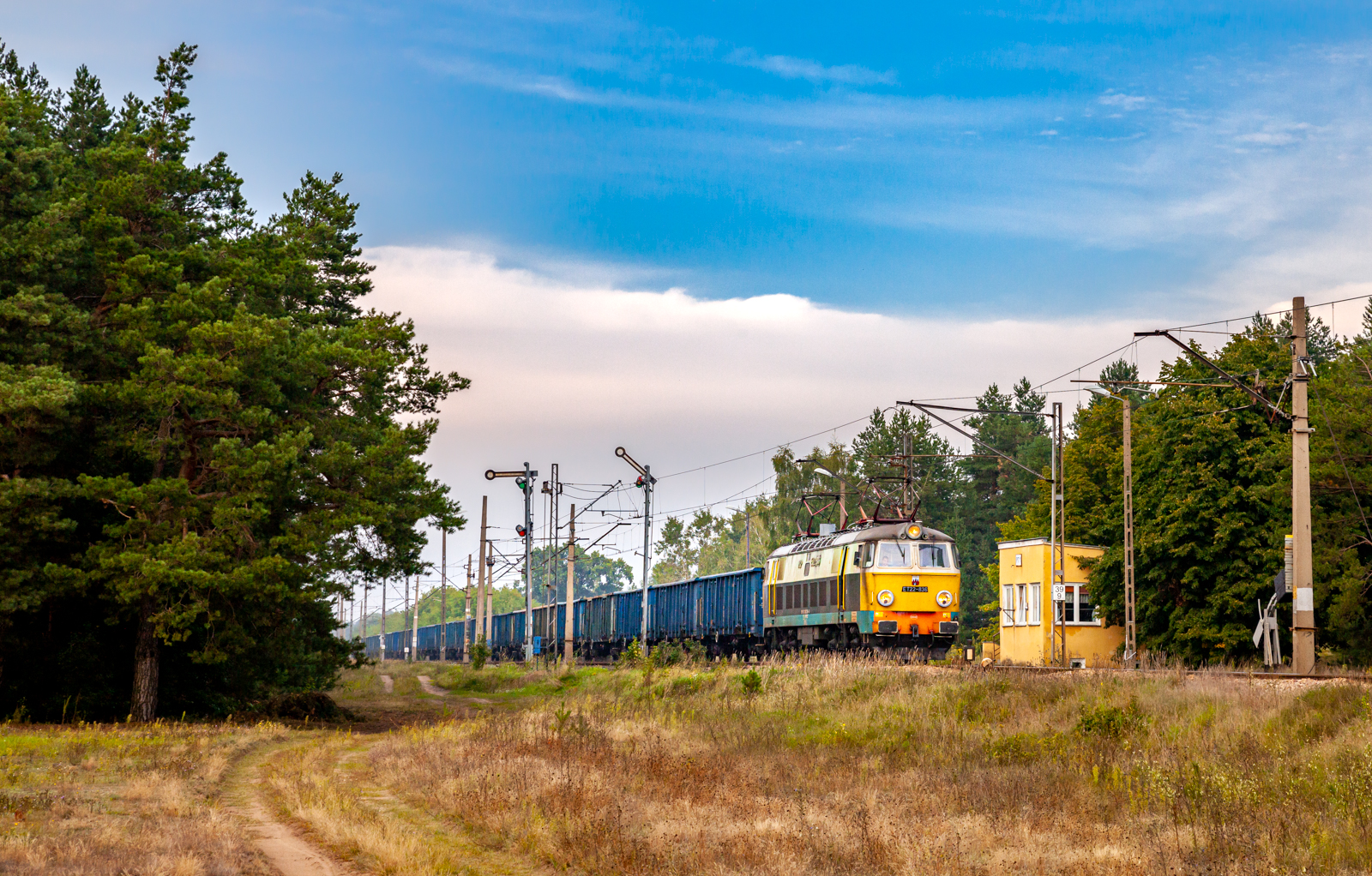 Przetycka i bycza klasyka