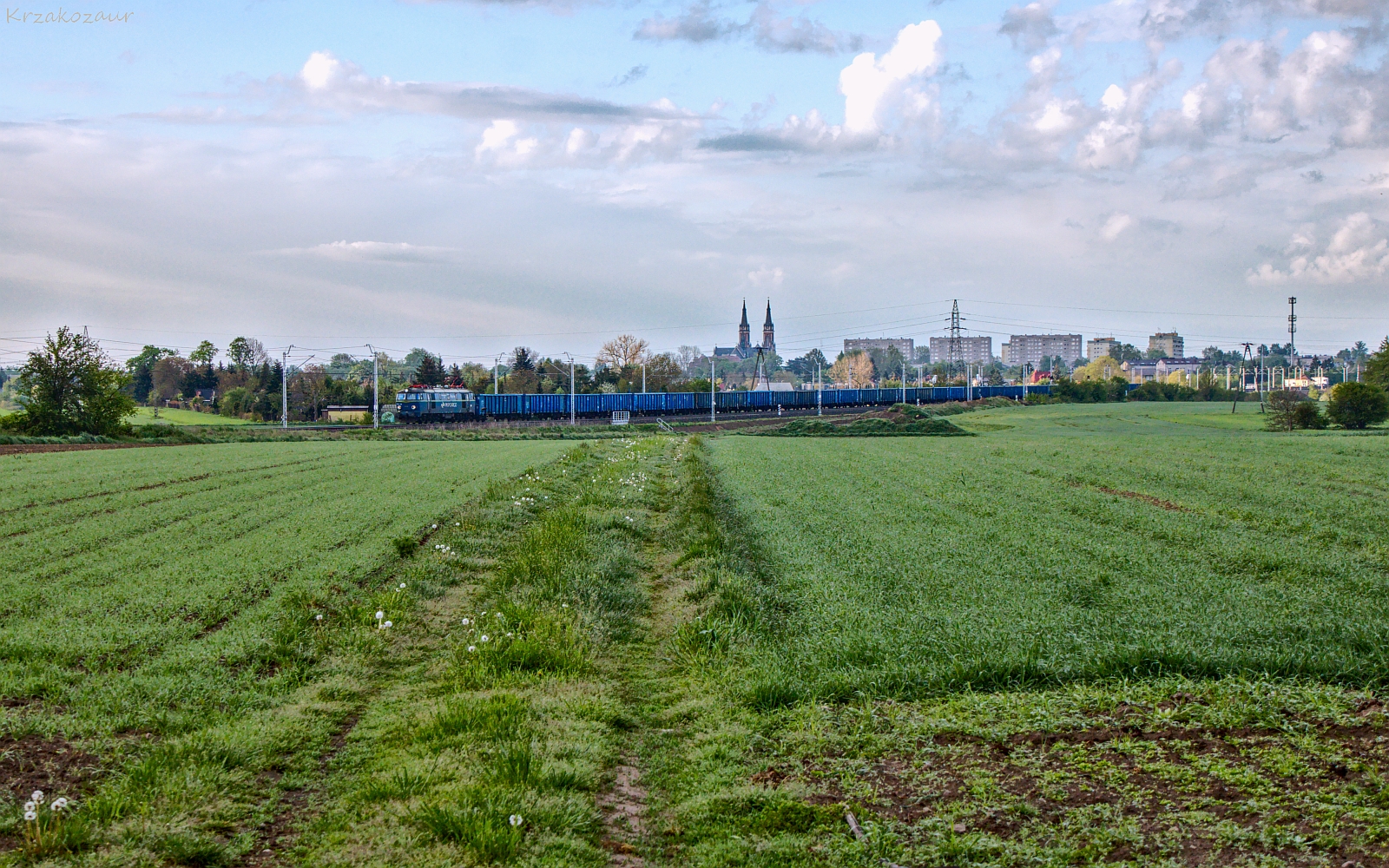 Codzienna radość z życia