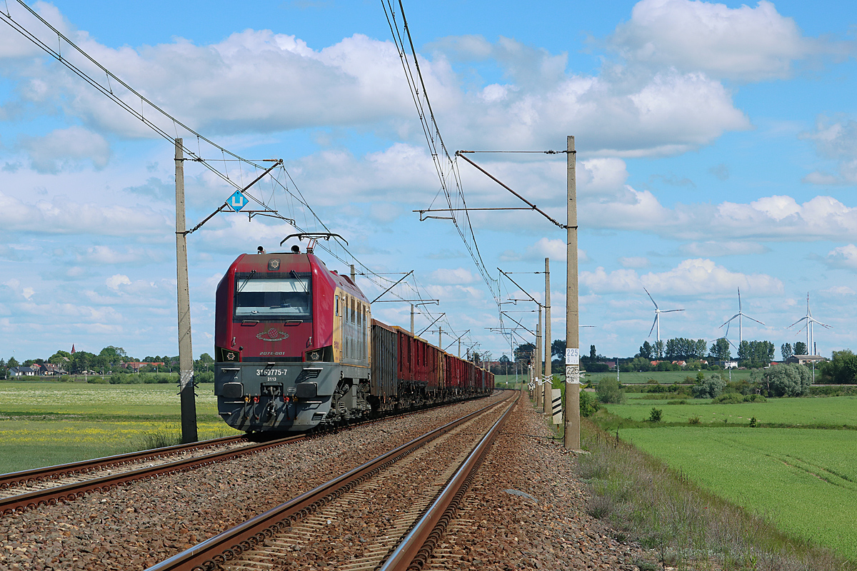 Edgar na obwodnicy Rzepina