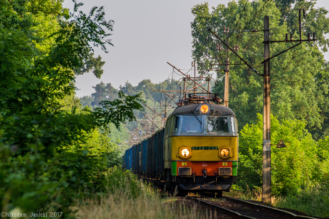 Welcome to the jungle!