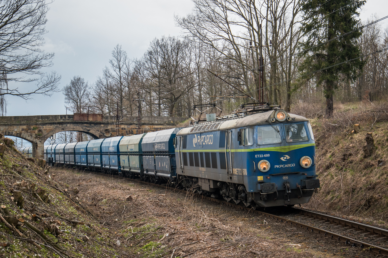 Nowy motyw w Rybnicy