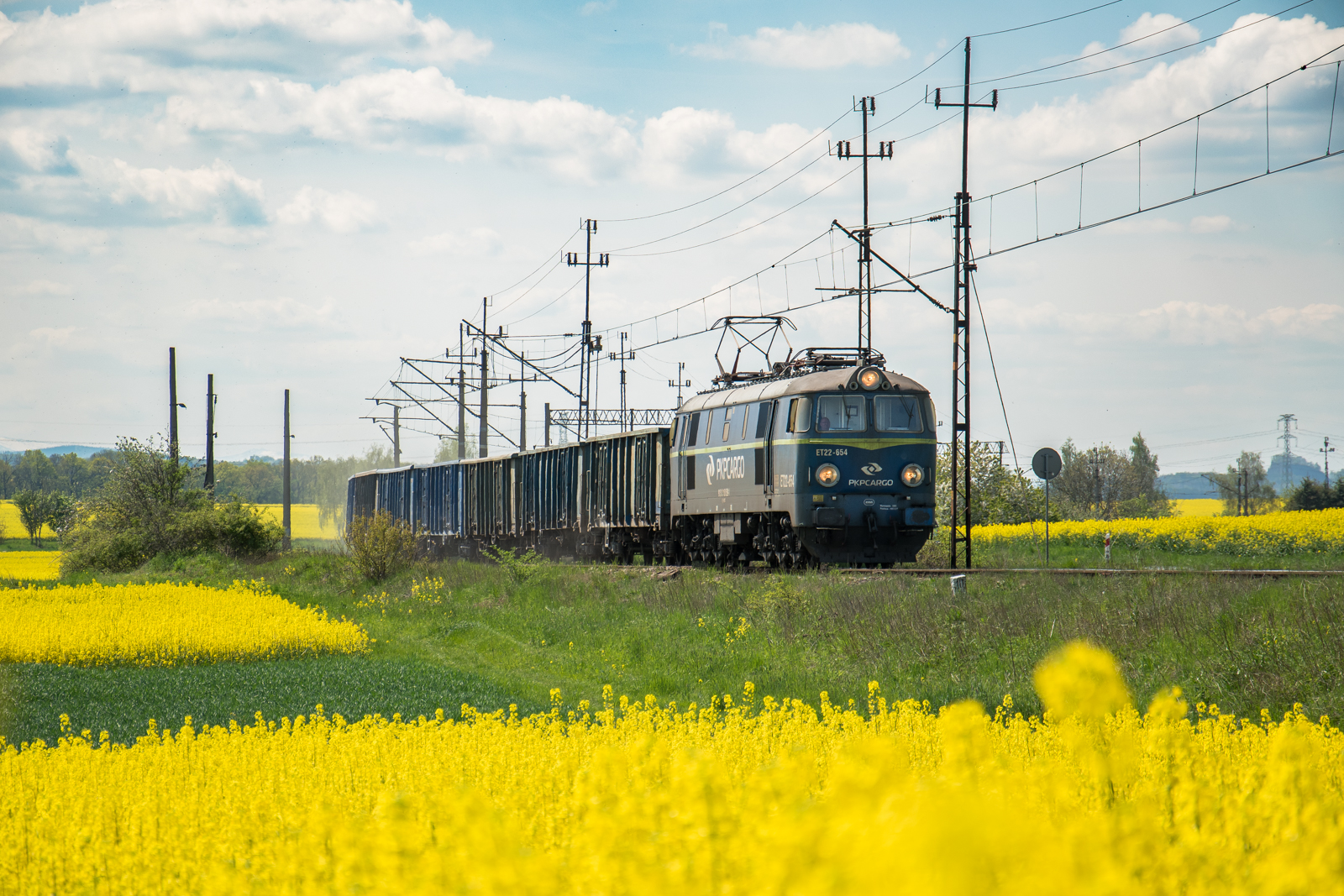 Wahadło z Krzeniowa