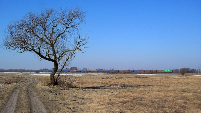 Na sieradzkich łęgach