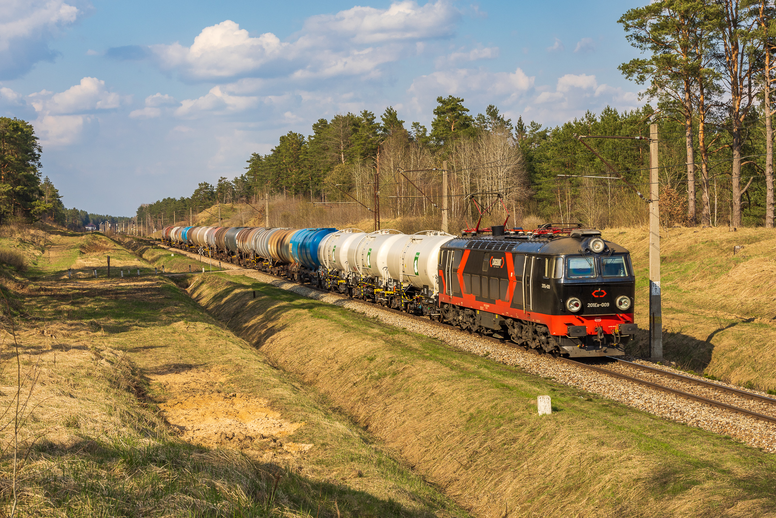 Czarny byk z Czarnego Bloku