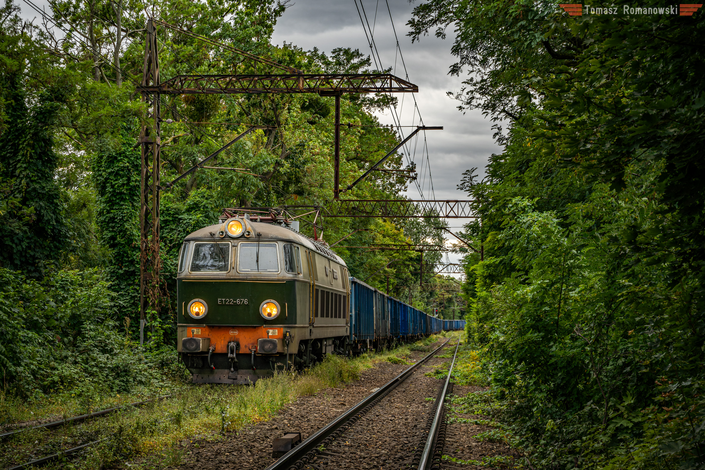 Zielony środek Wrocławia