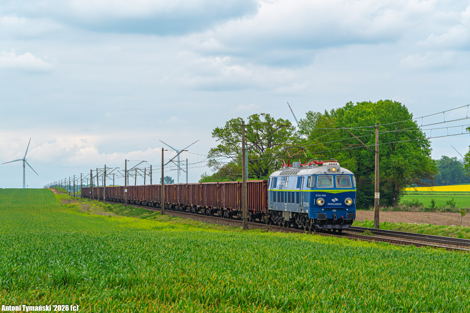 świeżynka na lk152