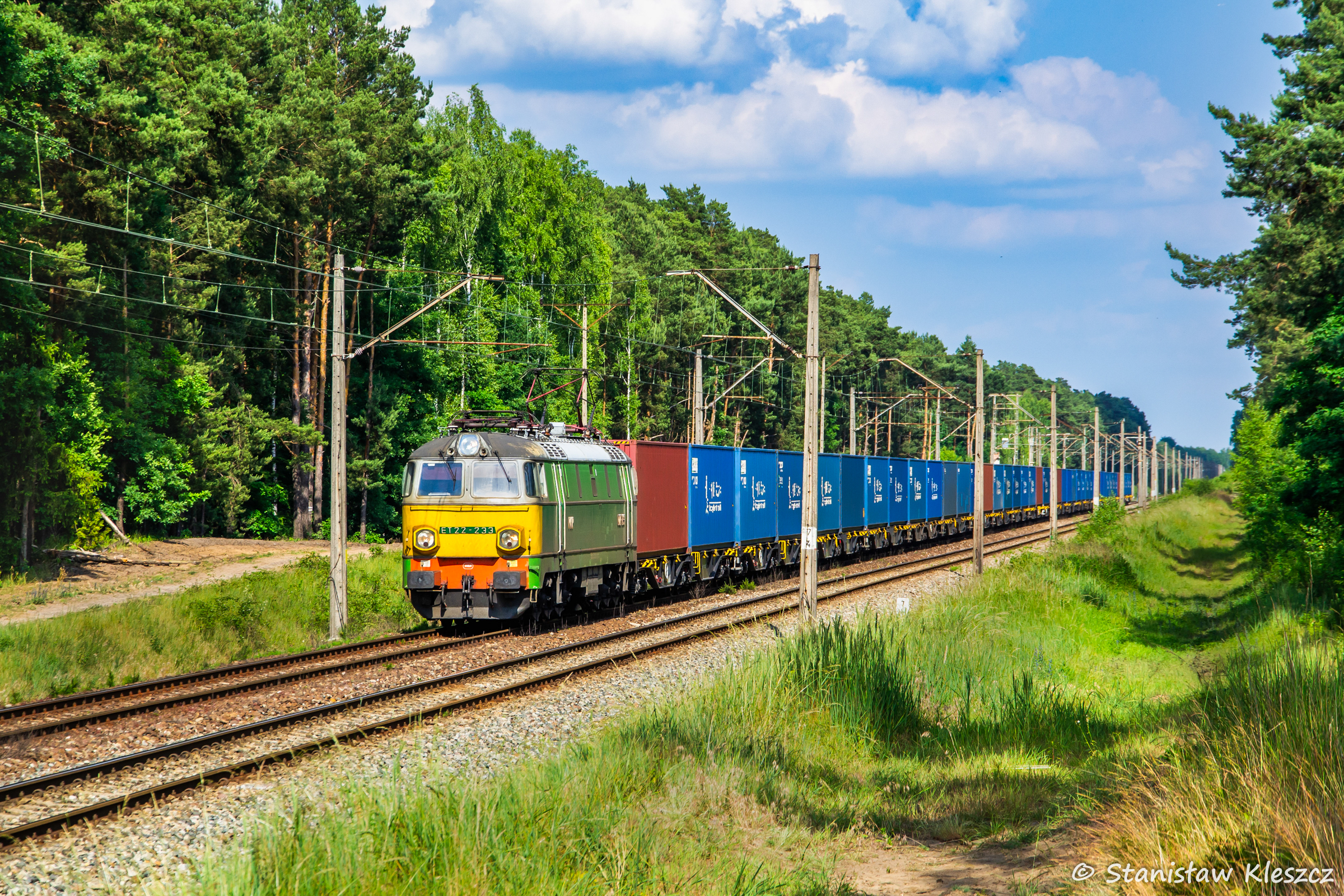 Żółte czoło pod Skierniewicami