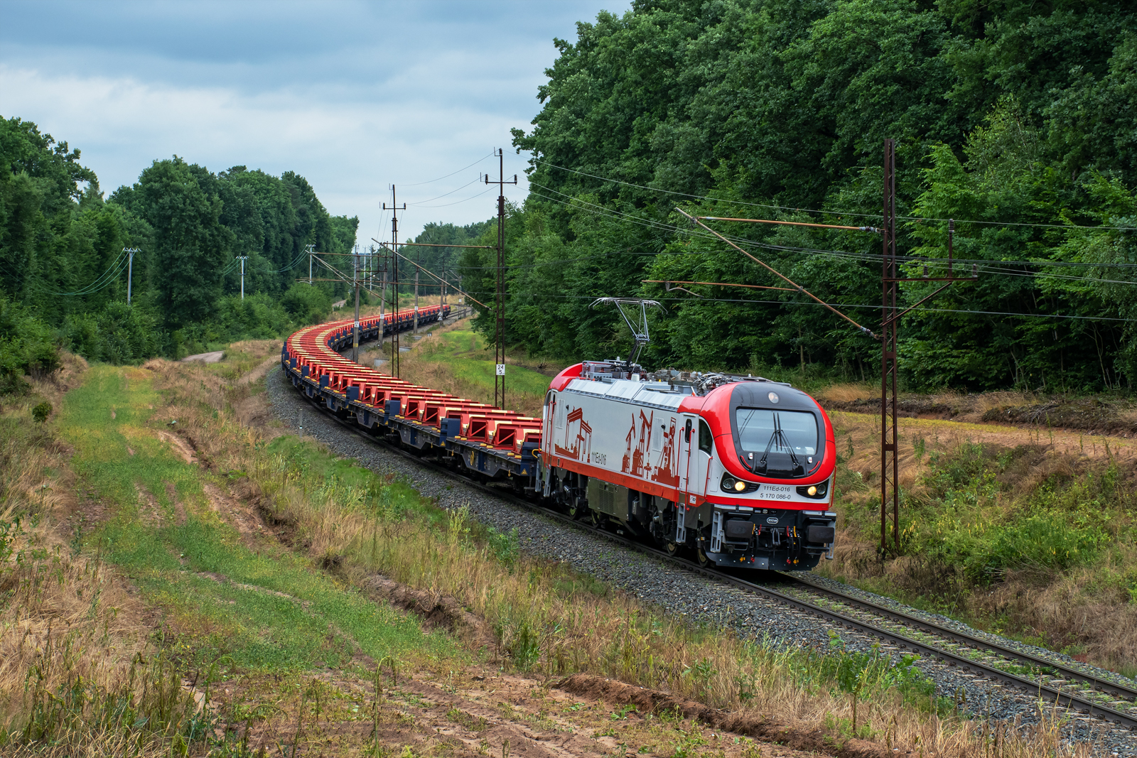 Świeżynka w Kolpremie