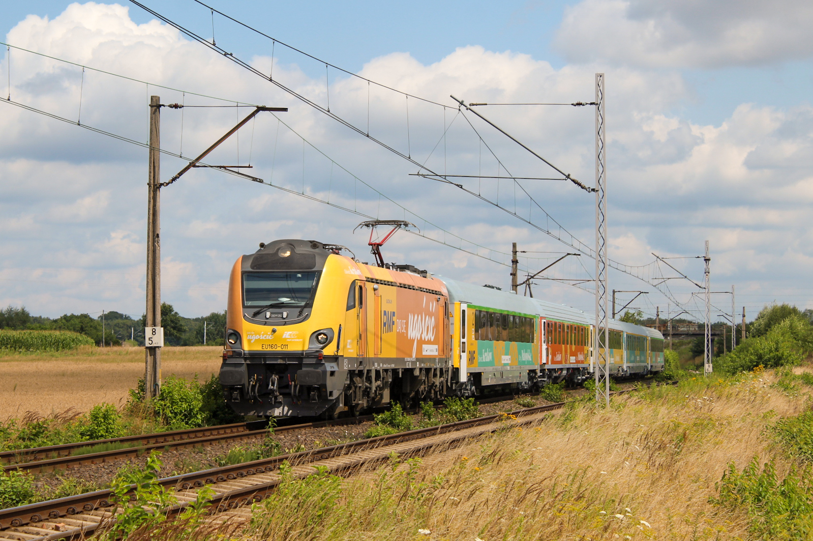 Griffin z dyskoteką