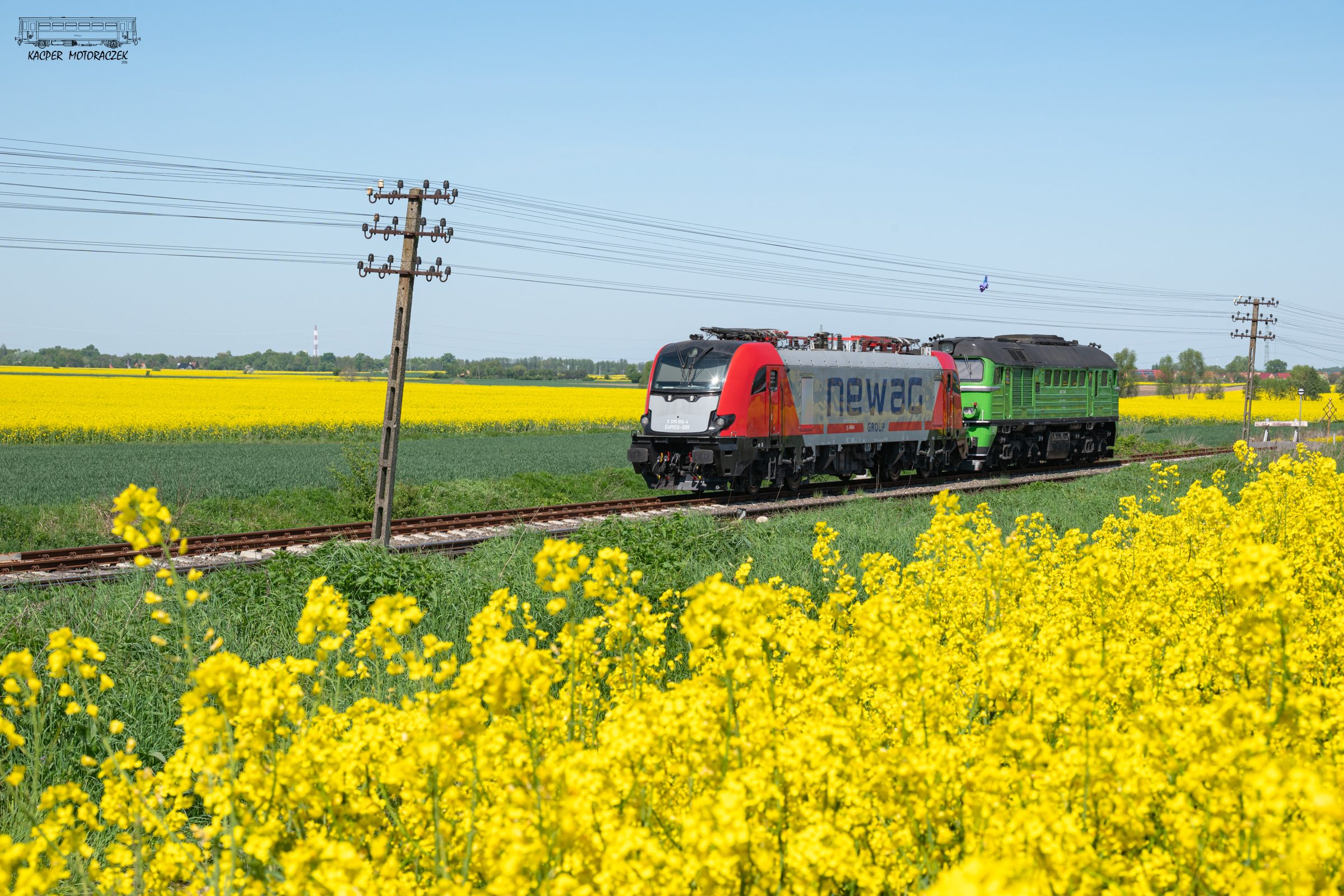 Pośród rzepakowych pól