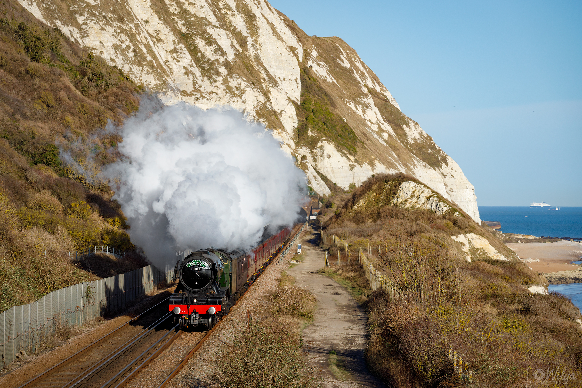 Szkot na białych klifach w Dover