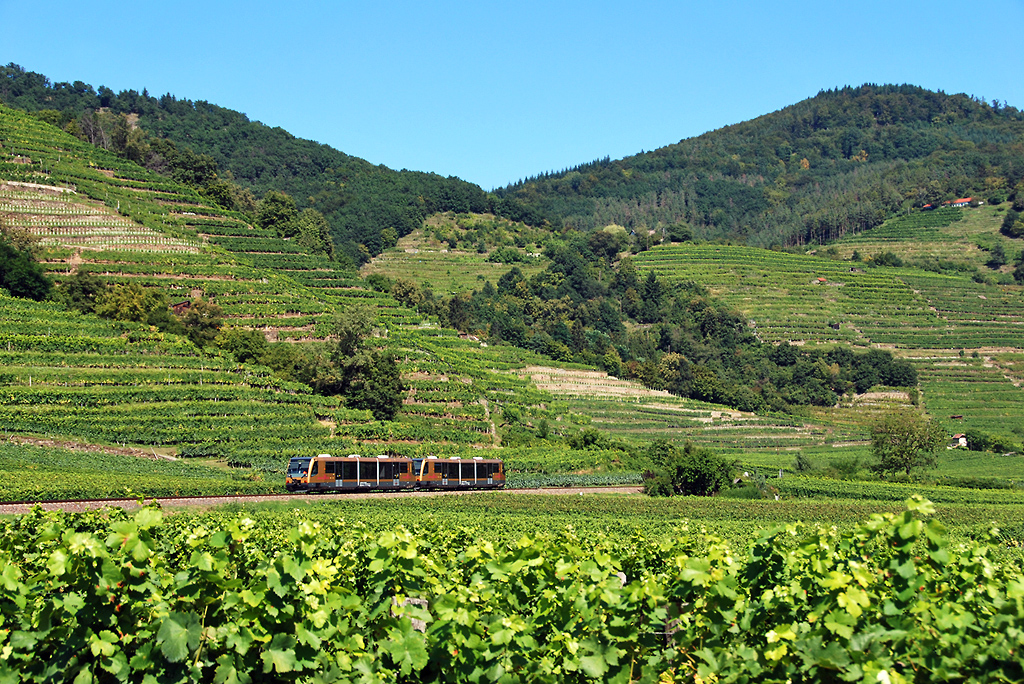 nad pięknym modrym Dunajem