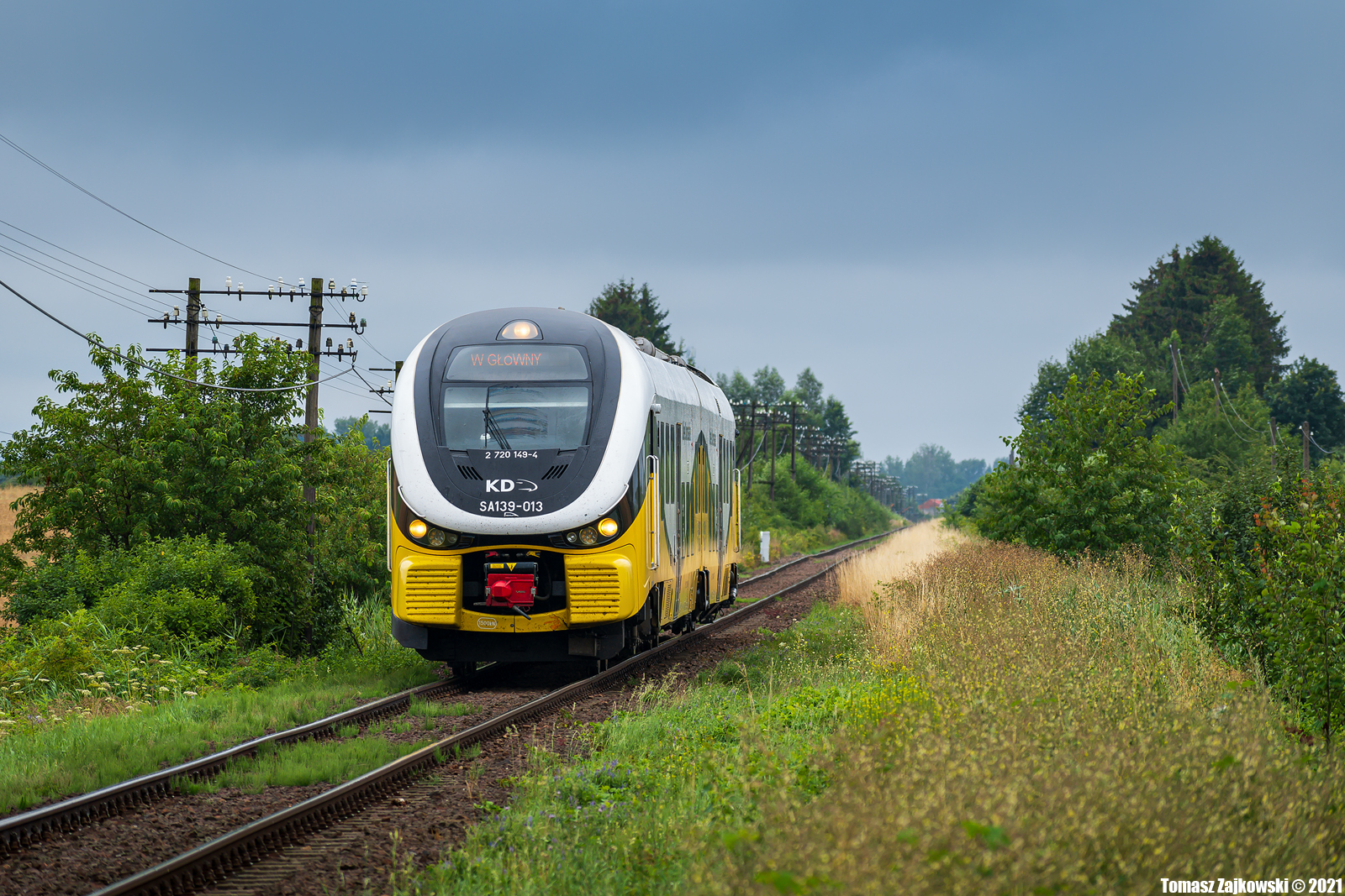 Rekin na podsudeckiej