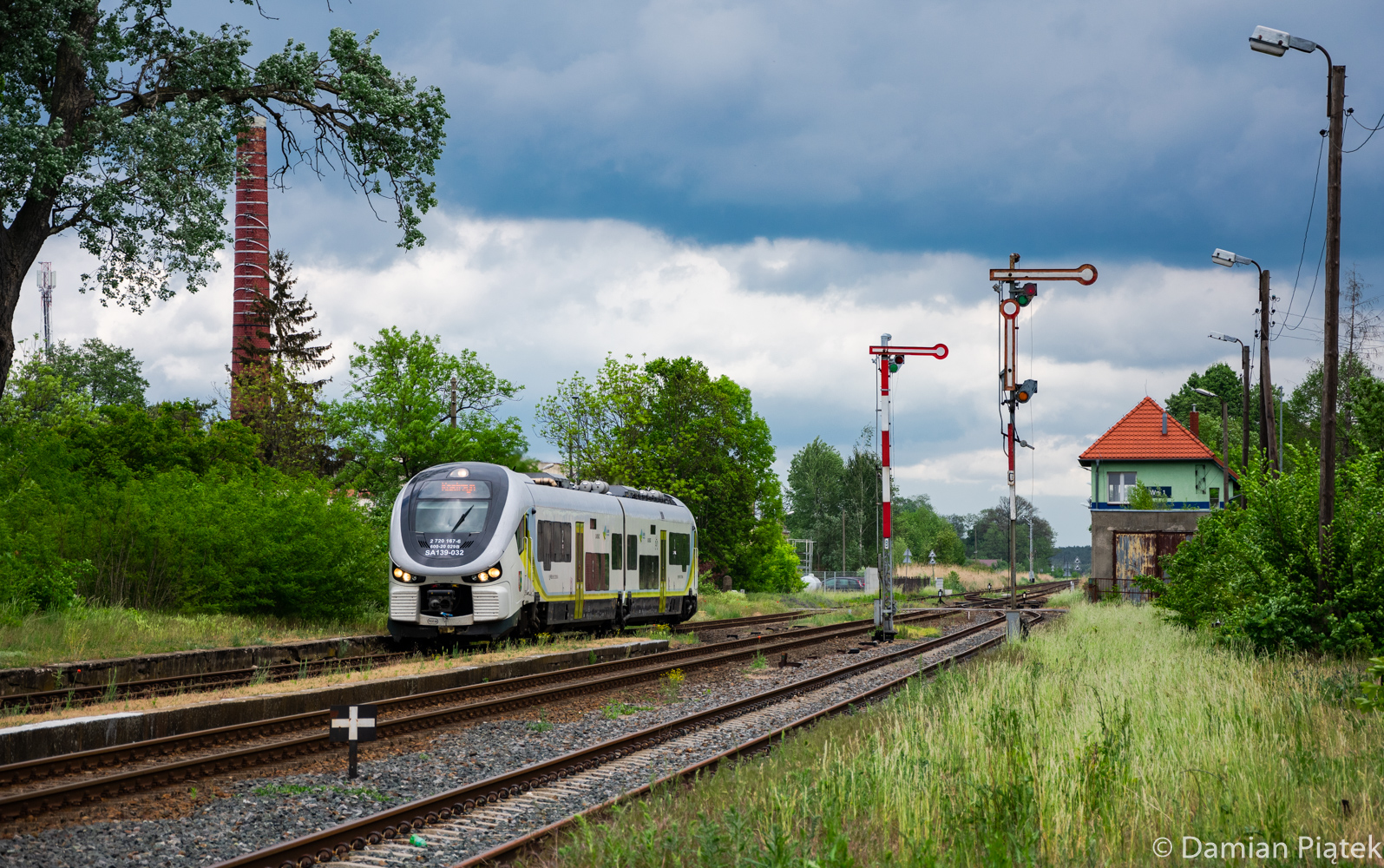 Ujście Warty w Witnicy