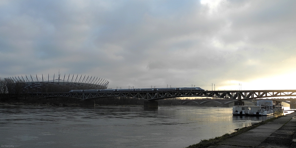 Dziobaki ciągną do światła :D