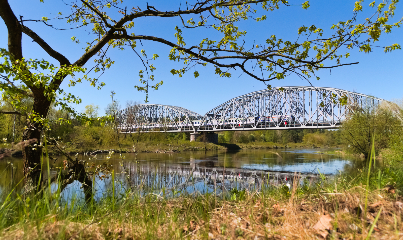 Póki jeszcze można