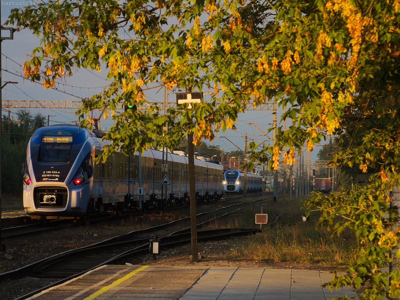 Długo wyczekiwana, na jesień złapana