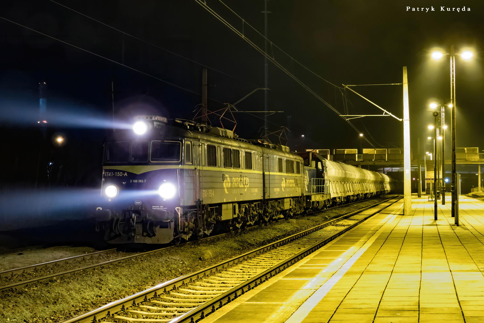 Jamnik wieczorową porą