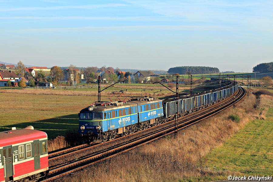 Jamnik i nieproszony gość...