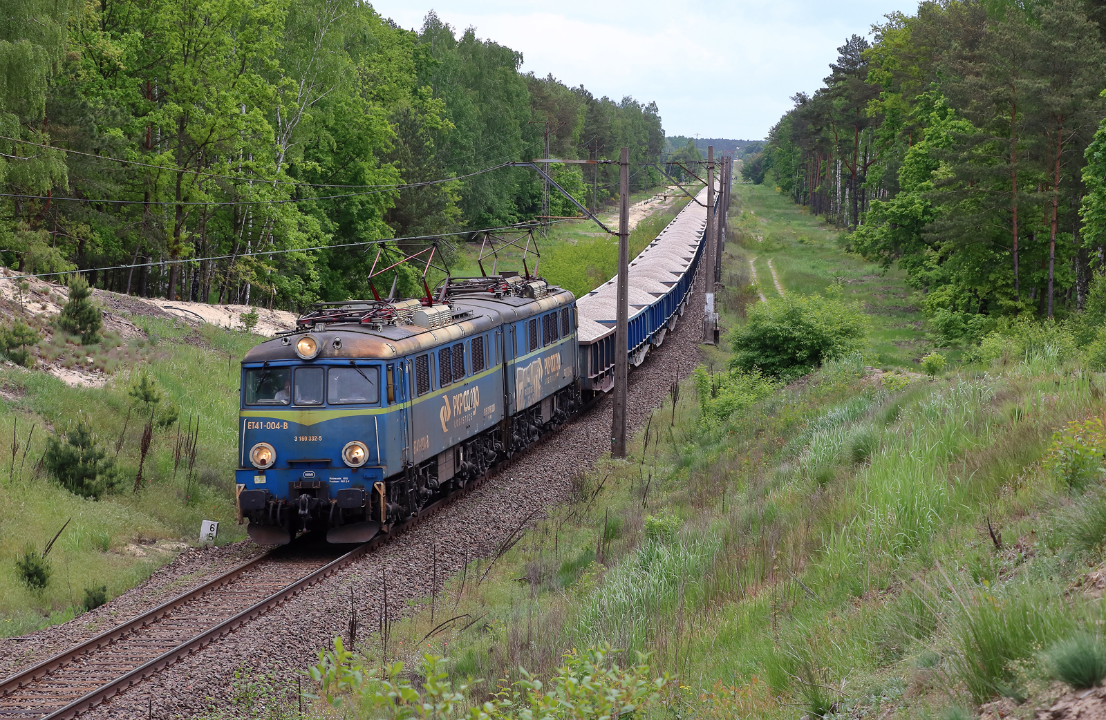 Jamnik i konwalie ... :)