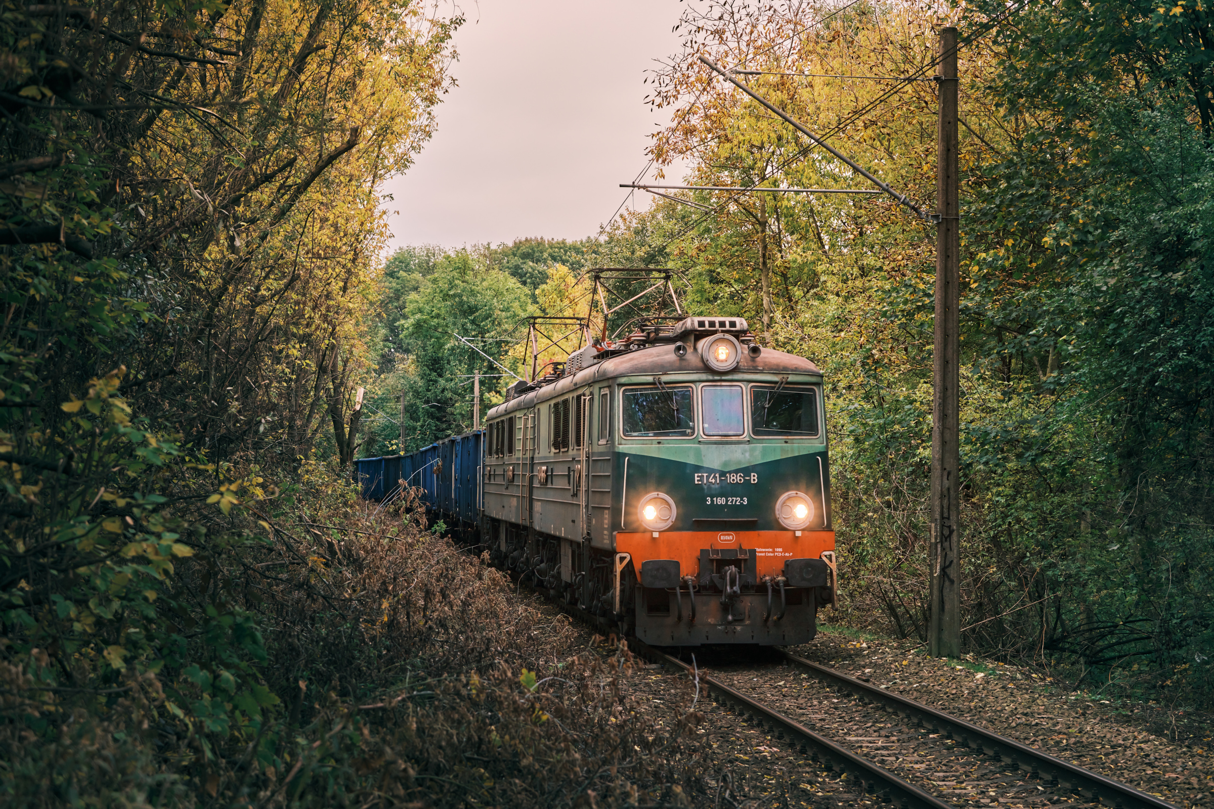 ET41-186 w jesiennym gąszczu