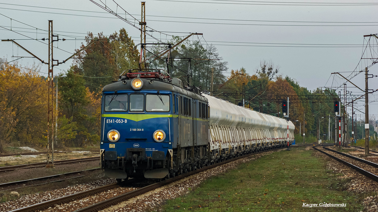 Jamnik, który już nie jeździ