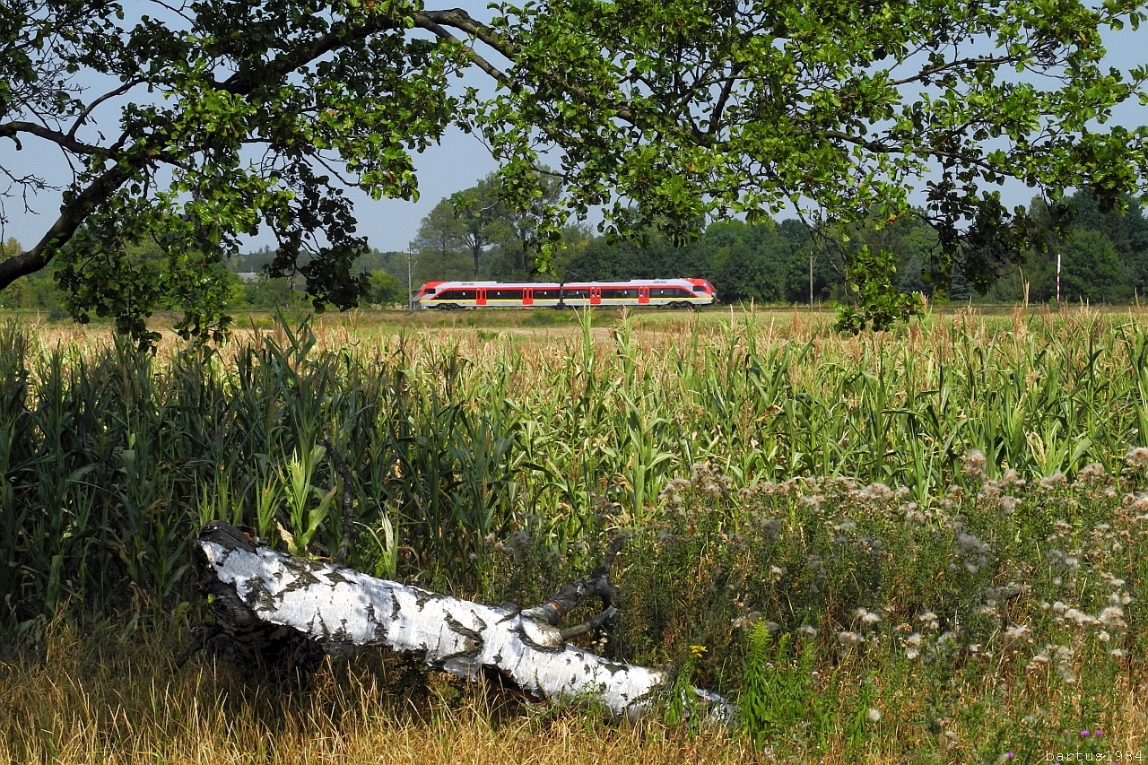 Krzaki, krzaki, krzaki...