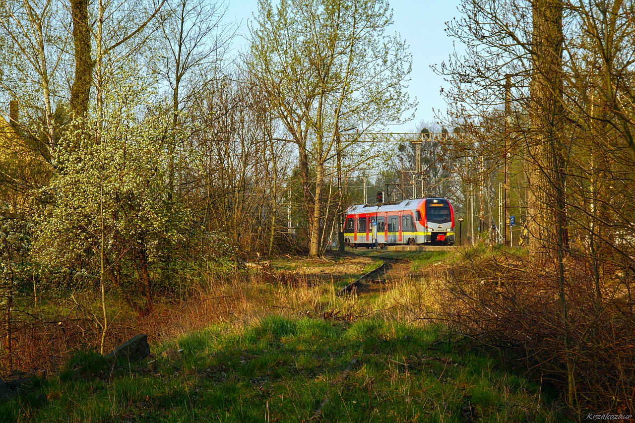 Niewinny flirt w krzakach