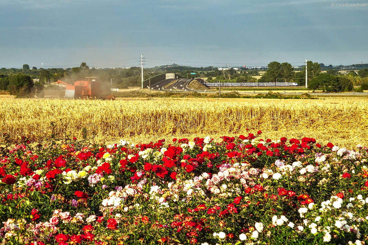 W życiu piękne są tylko chwile