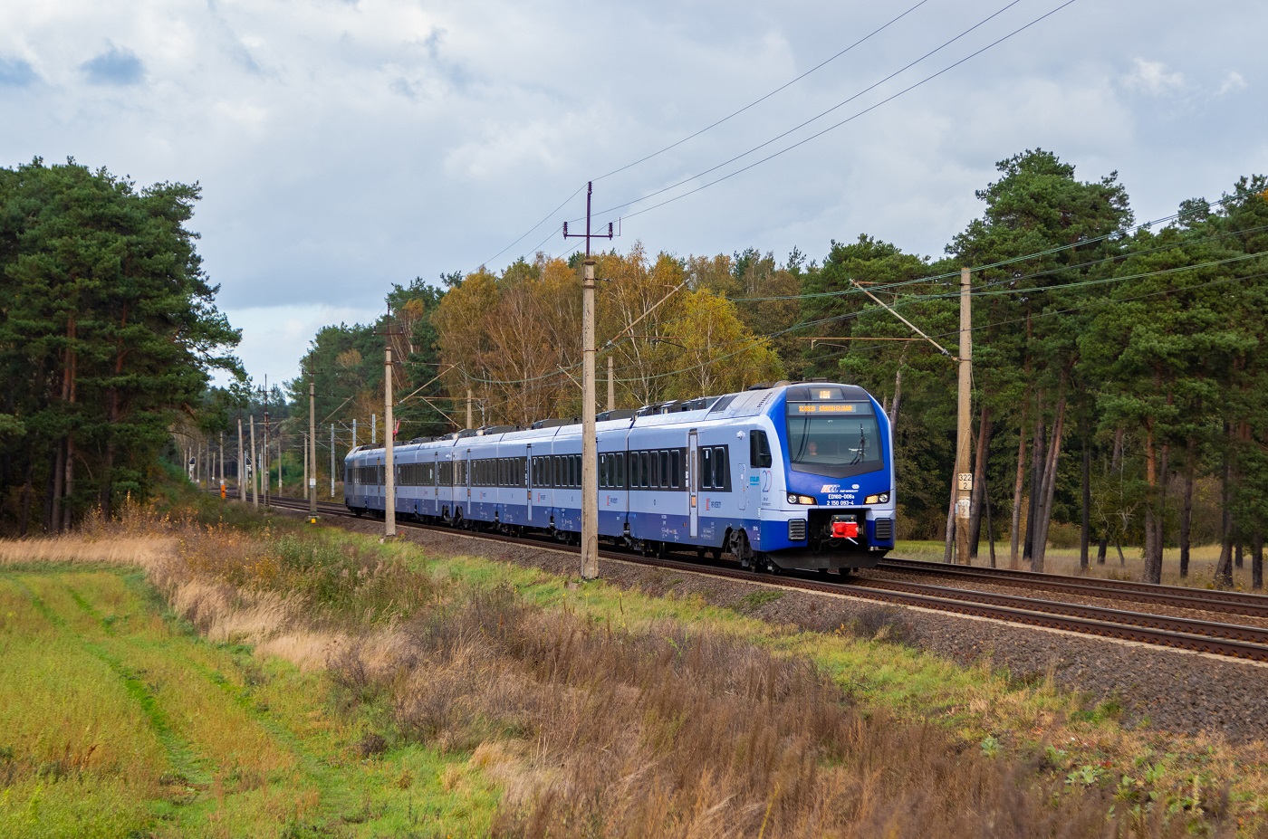 Szlakowy Flirt na D29-273