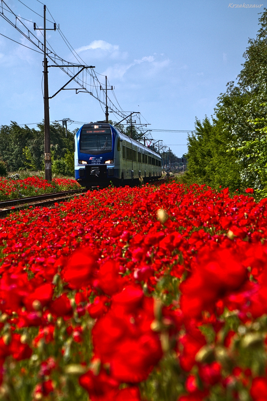 Szkoda, że nie ma pociągu