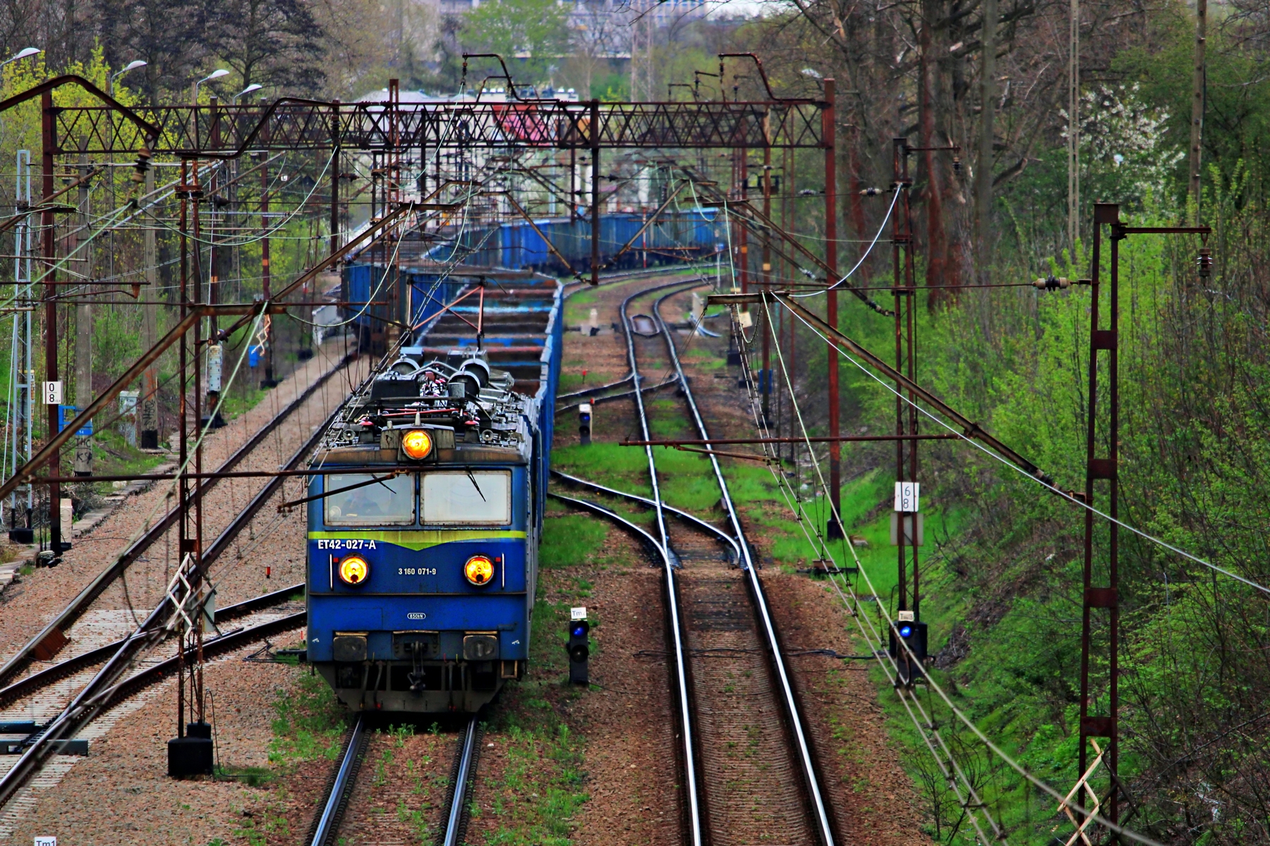 Wijący się po rozjazdach