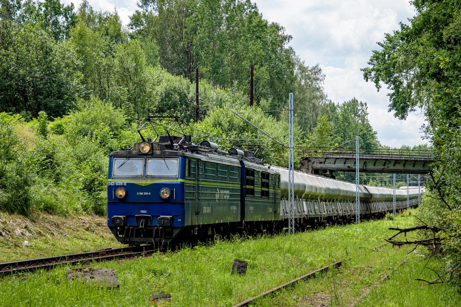 Pudernice do Sitkówki