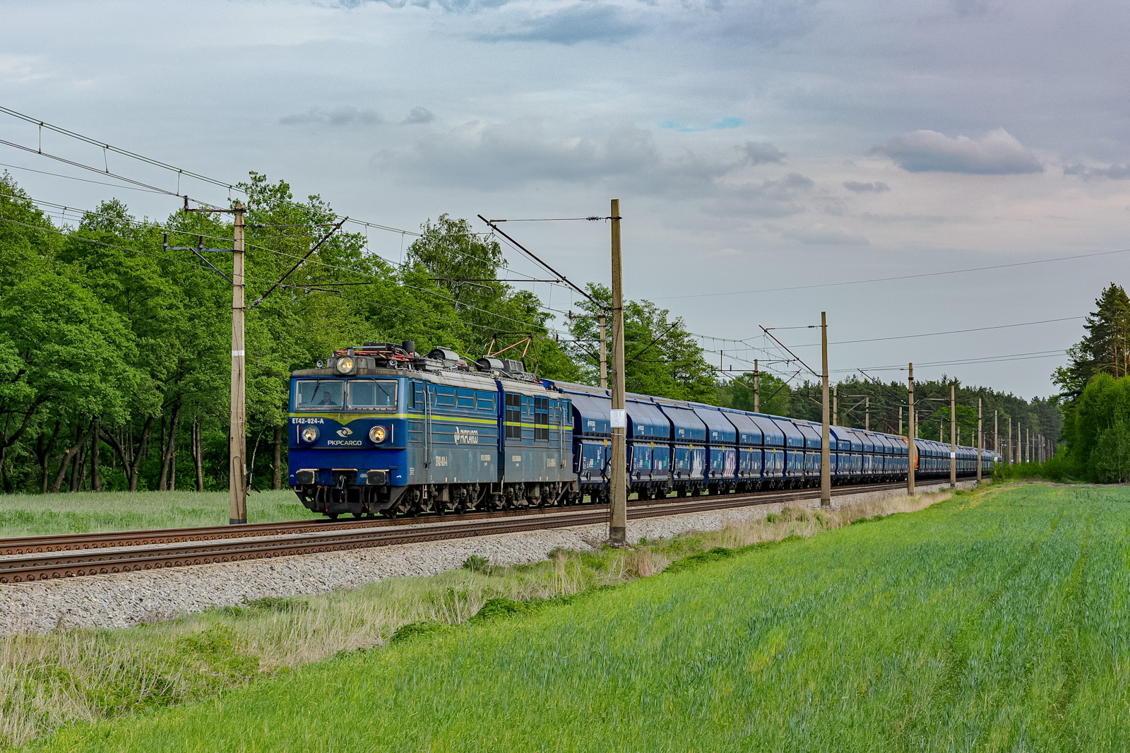 Czapajewem na północ