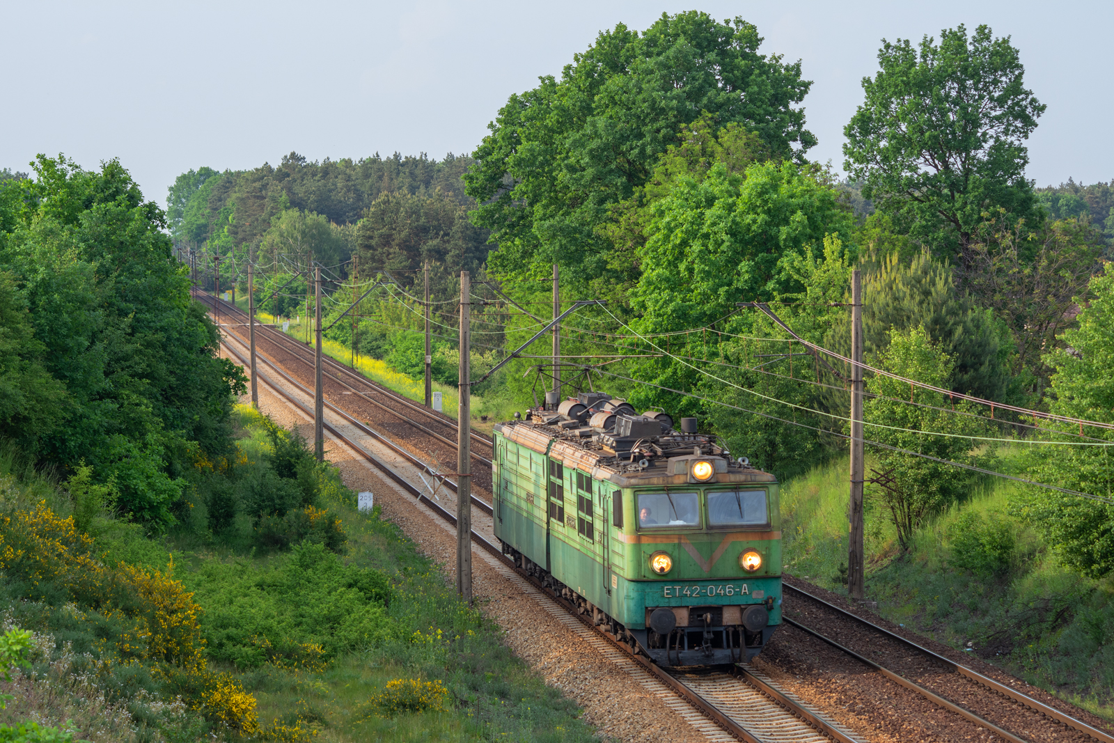 Ostatni kurs "w zielonym"