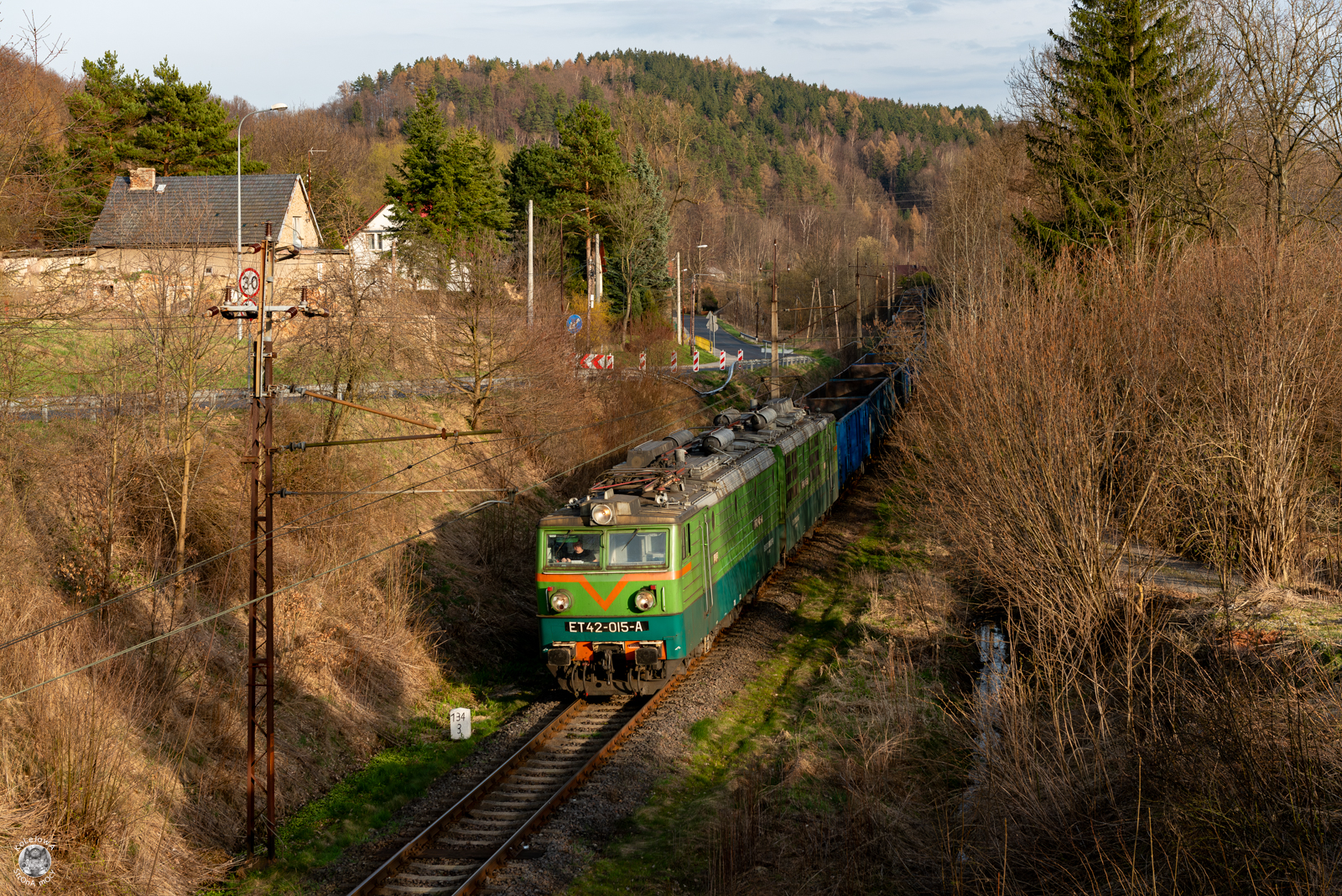 Zielony w Goduszynie
