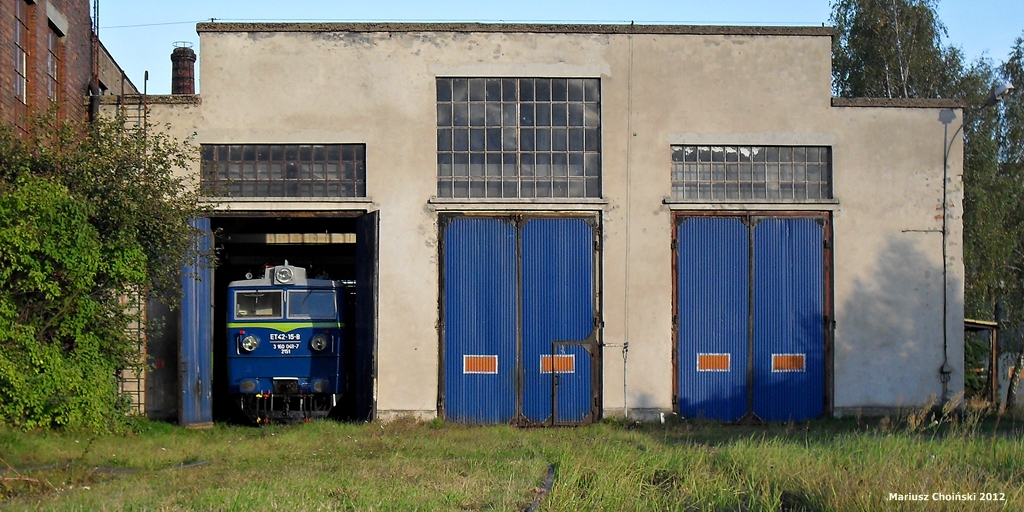 Nieśmiało wychylam nosa