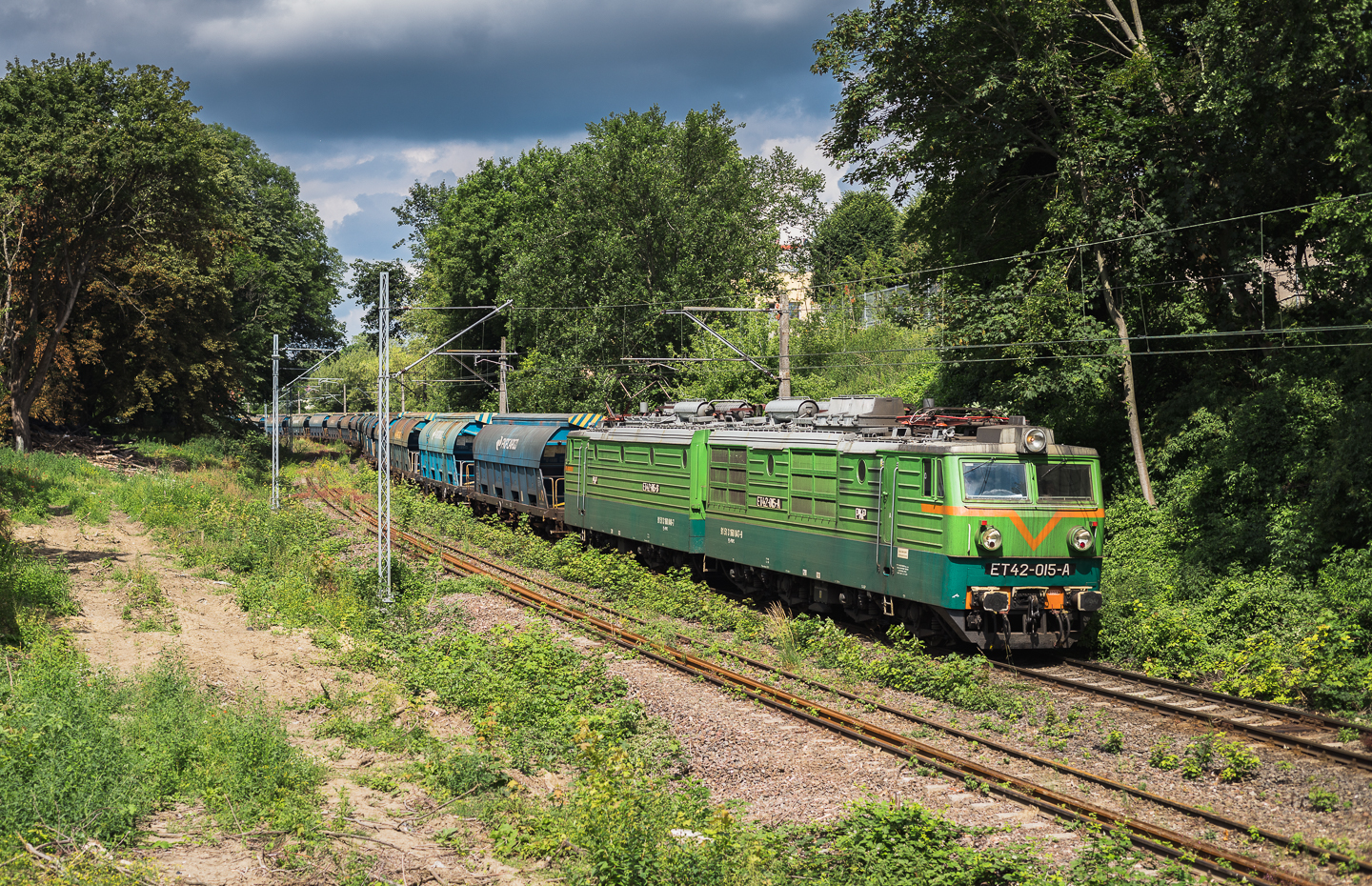 Rusek pod kolor lata