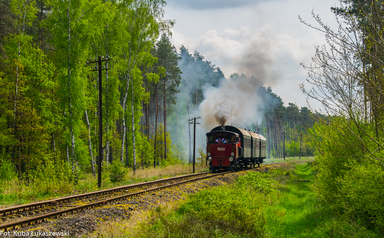 Egoztyka koło Wolsztyna