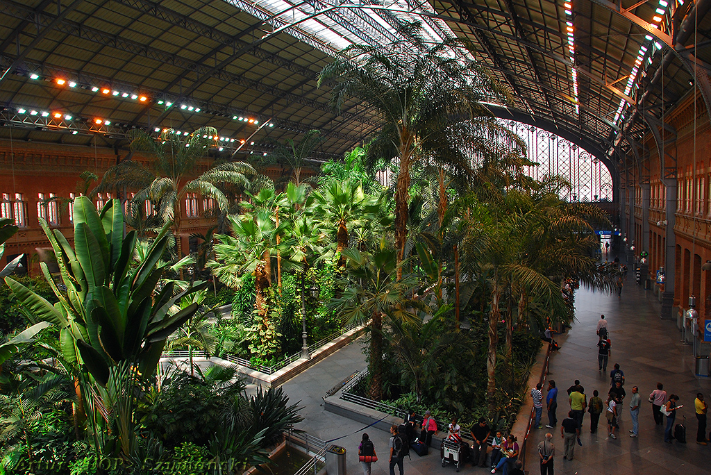 Dżungla w hali dworcowej