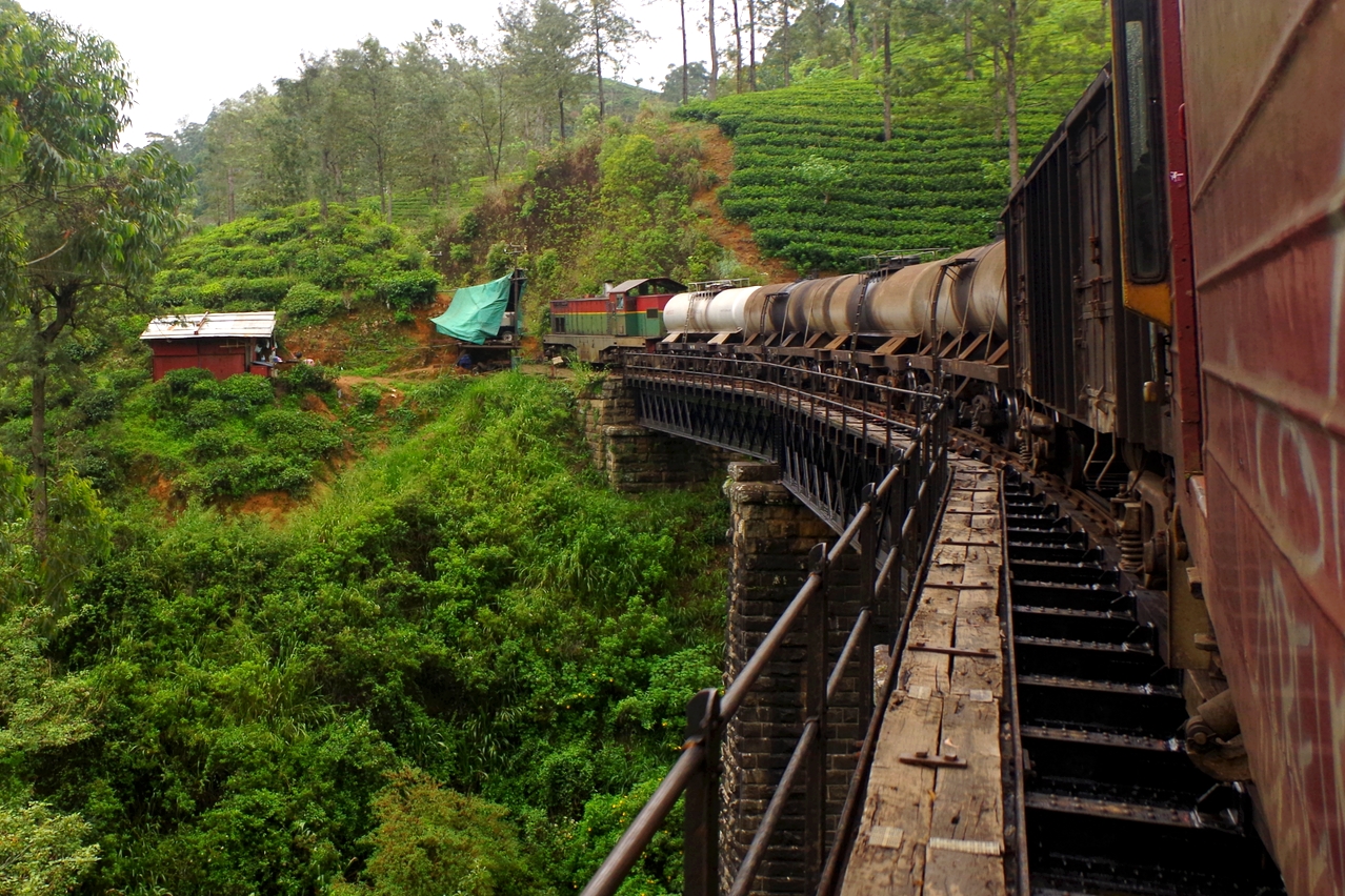 50 metrów nad ziemią...