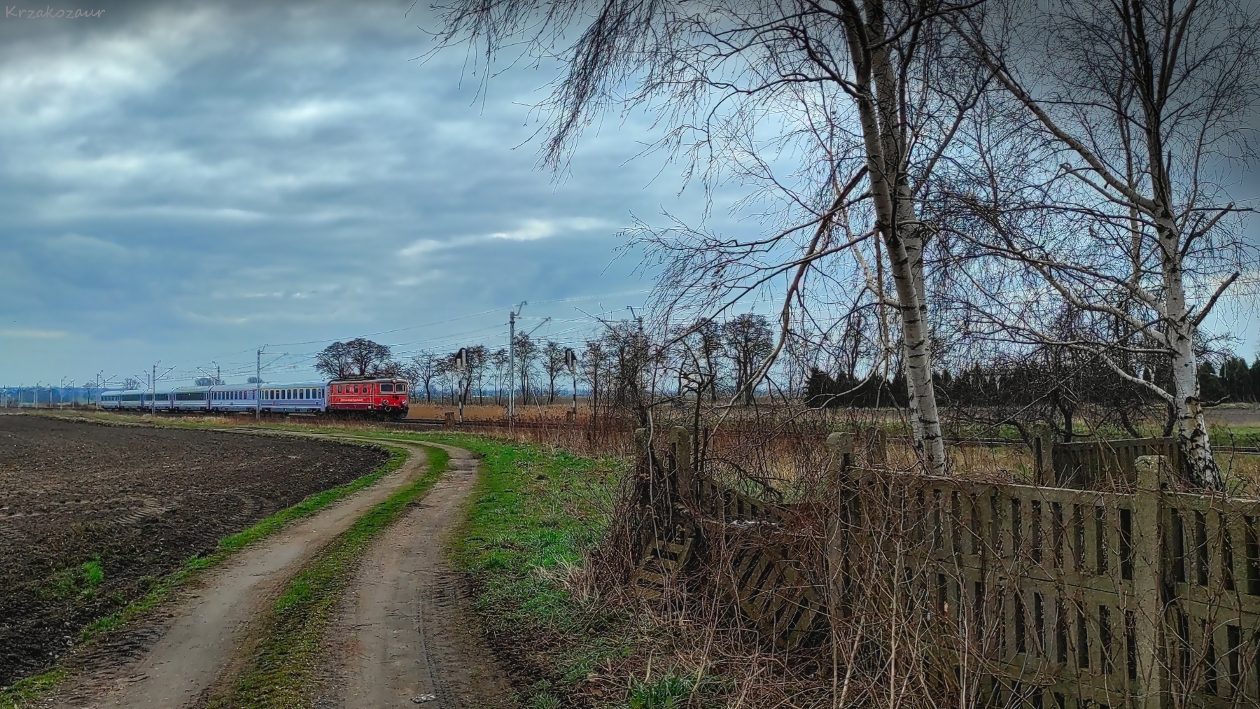 Prawie wszystko tutaj zagrało