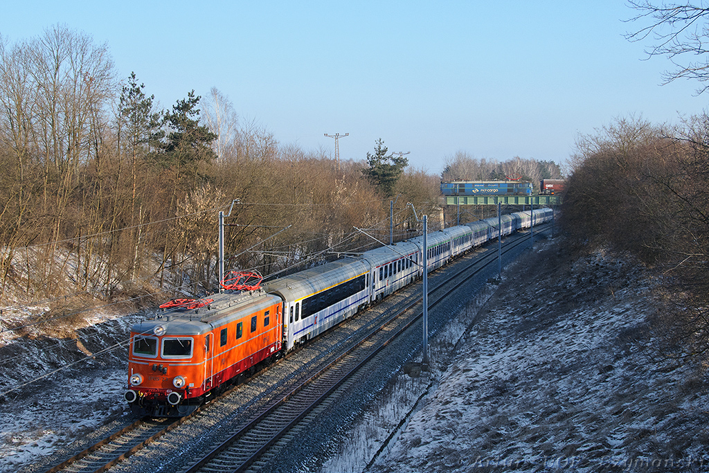 (s)krzyżowanie Cześka z bykiem